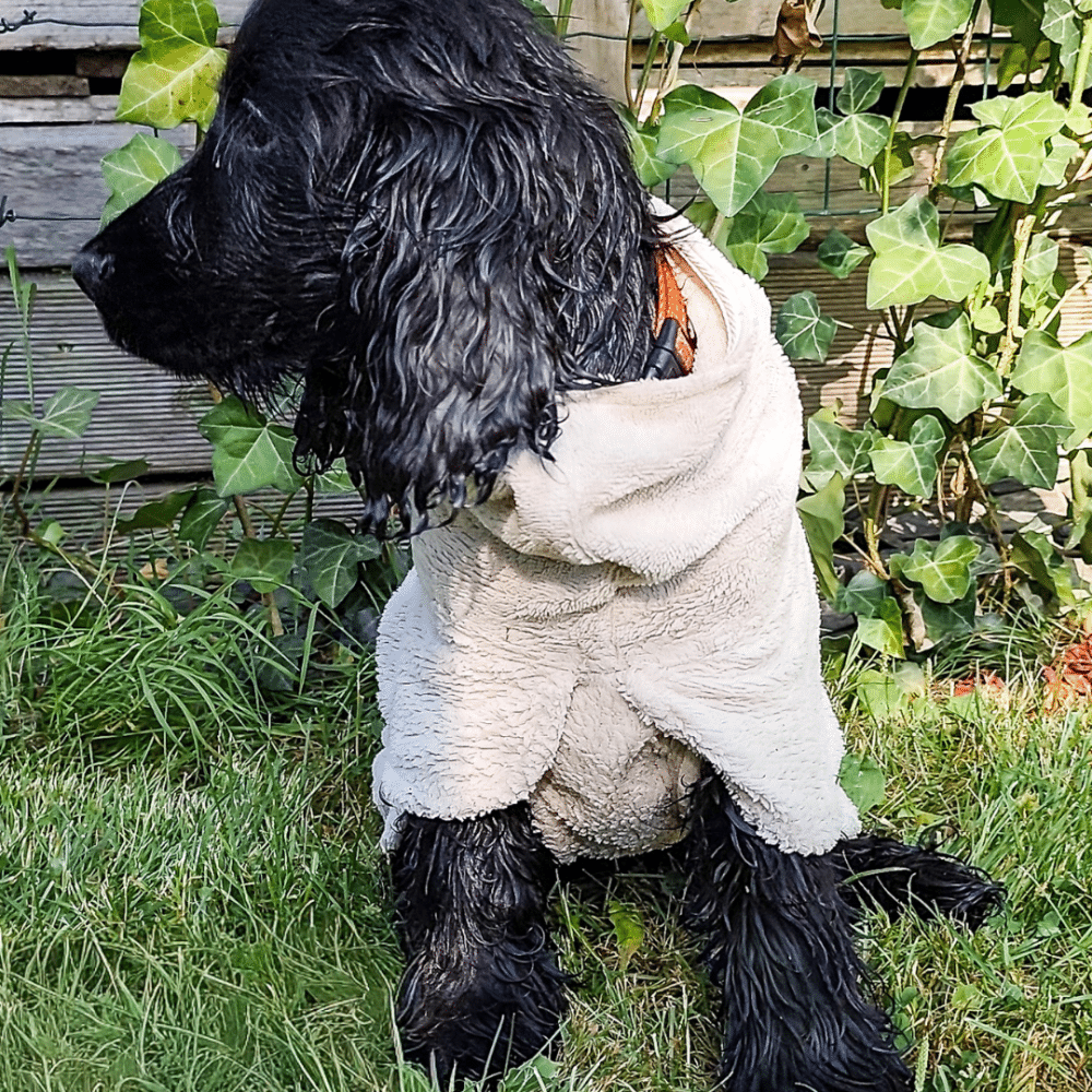 Peignoir pour chien personnalisé en éponge bambou – Beige