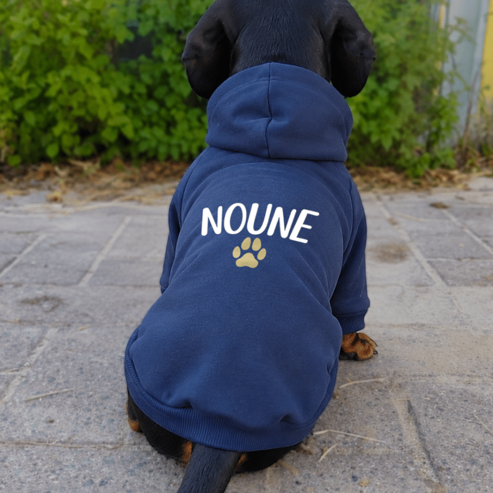 Sweat pour chien personnalisé
